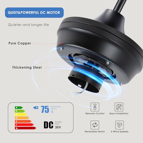 Asyko 52" Waterproof Ceiling Fan with Lights