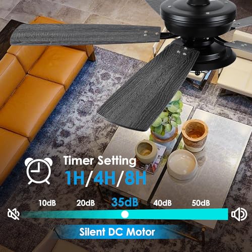 Asyko 52" Waterproof Ceiling Fan with Lights