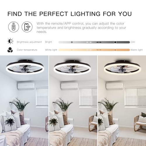 STERREN 20'' Modern Low Profile Ceiling Fan with Light