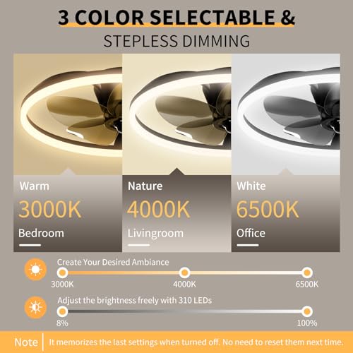 20" Black Flush Mount Ceiling Fan with Lights