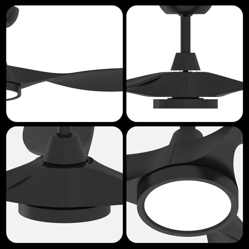 Roomratv 52-Inch Black Ceiling Fan with Lights