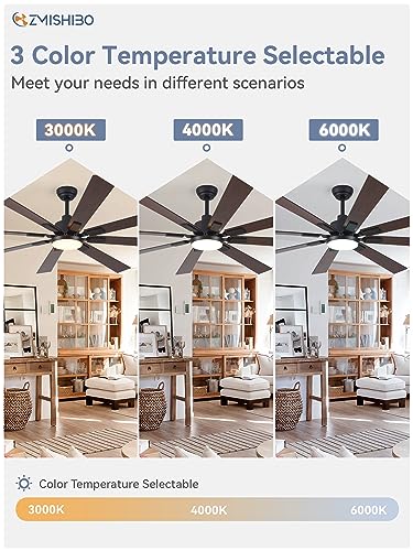 Modern Ceiling Fan with Light and Remote Control