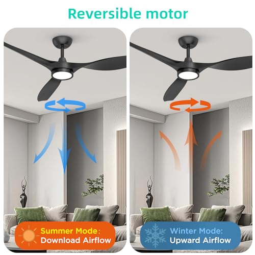 Roomratv 52-Inch Black Ceiling Fan with Lights