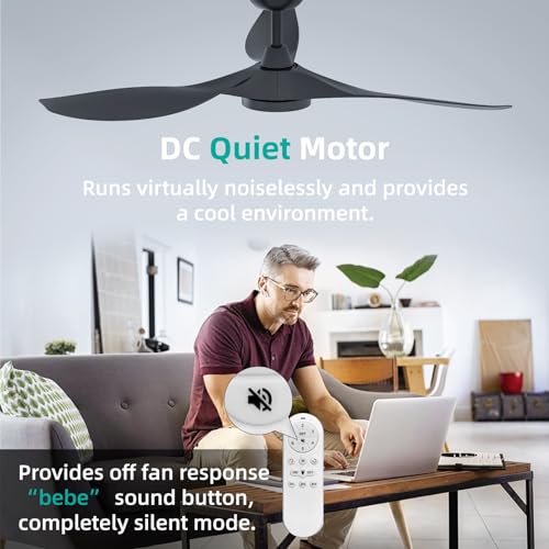 Roomratv 52-Inch Black Ceiling Fan with Lights