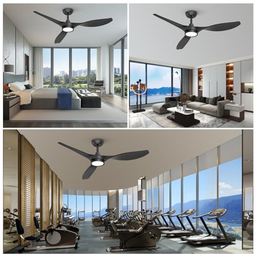 Roomratv 52-Inch Black Ceiling Fan with Lights