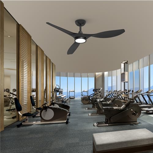 Roomratv 52-Inch Black Ceiling Fan with Lights