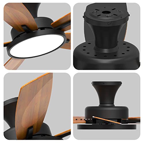 TALOYA 52-Inch Silent Ceiling Fan with Lights