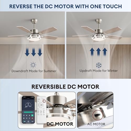 42 Inch Modern Silver Ceiling Fan with Remote