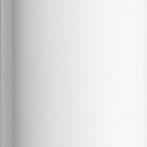 Minka-Aire 12 Inch White Ceiling Fan Downrod