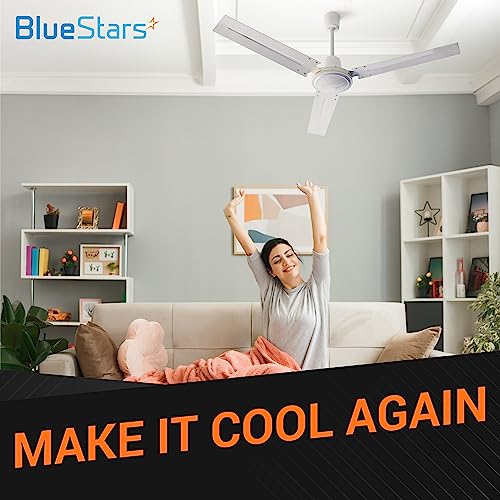 BlueStars 250V Ceiling Fan Capacitor Replacement - Pack of 1