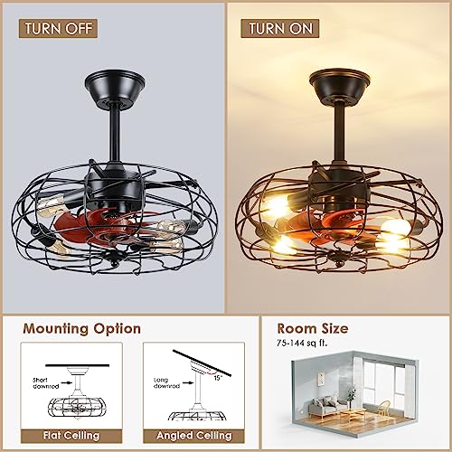 Asyko Black Caged Ceiling Fan with Remote