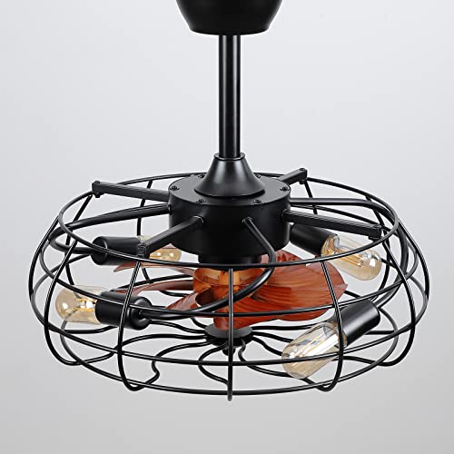Asyko Black Caged Ceiling Fan with Remote