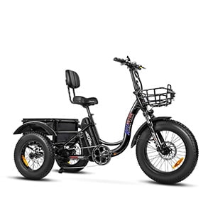 Addmotor Fat Tire Step-Thru Electric Trike 750W