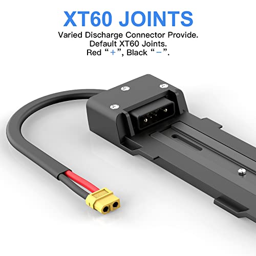 52V Lithium Ion Battery for Rad Power Ebikes