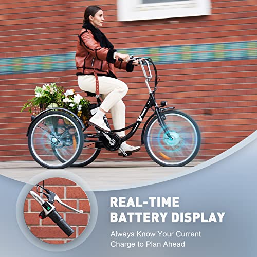 Viribus Electric Tricycle for Adults with Removable Battery