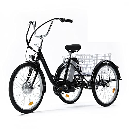 Viribus 24" Electric Trike with Removable Battery