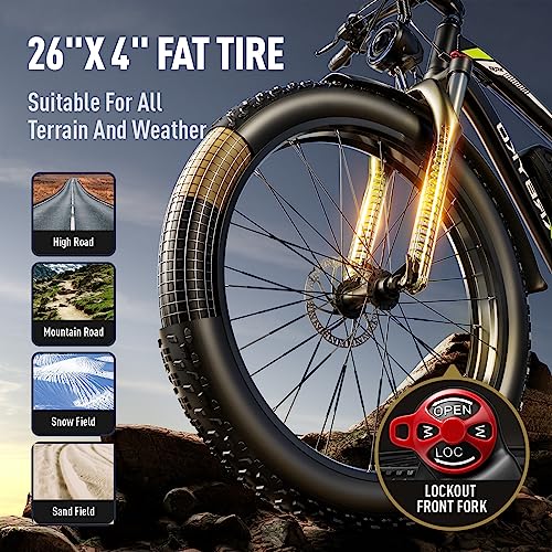 EXRBYKO 26" Fat Tire Electric Bike 750W