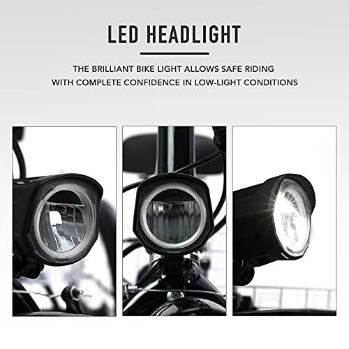 Viribus 24" Electric Trike with Removable Battery