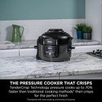 Ninja Foodi Mini Multi-Cooker, 4.7L, Gray/Black
