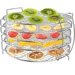5-Layer Stainless Steel Dehydrator Rack for Air Fryers