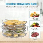 5-Layer Stainless Steel Dehydrator Rack for Air Fryers