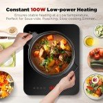 Ultra-Thin 2100W Portable Induction Cooker 10 Settings