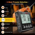 ThermoPro TP17B Dual Probe Meat Thermometer