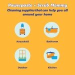 Power Paste Cleaner for Air Fryers & Appliances