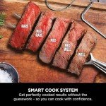 Ninja Woodfire Pro XL Air Fryer & Grill
