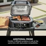 Ninja Woodfire Pro XL Air Fryer & Grill