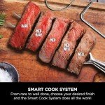 Ninja Woodfire Pro XL Air Fryer & Grill