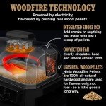 Ninja Woodfire Pro XL Air Fryer & Grill