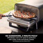 Ninja Artisan Outdoor Pizza Oven UK - 4-in-1 Electric Pizza Oven