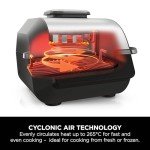 Ninja 5-in-1 Indoor Health Grill & Air Fryer EG351UK