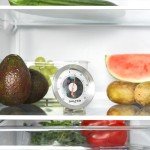 Salter Stainless Steel Waterproof Fridge Thermometer