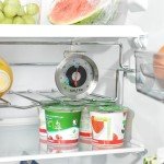 Salter Stainless Steel Waterproof Fridge Thermometer