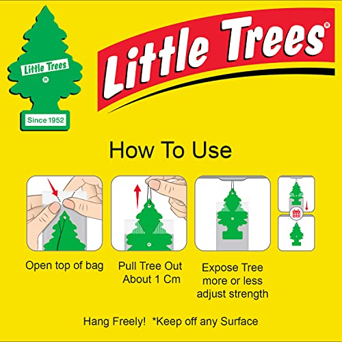Little Trees Black Ice Car Air Freshener 10-Pack