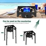 Single Burner Propane Camp Stove with Regulator