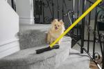 FURemover Pet Hair Rubber Broom with Squeegee