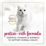 Purina Fancy Feast Grain Free Chicken Wet Cat Food