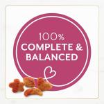 Fancy Feast Filet Mignon Cat Food, 16 OZ Trio