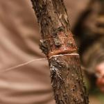 2-Pack Survival Wire Saw for Emergency & Outdoor Use