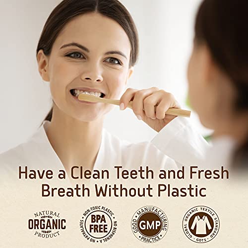 Eco-Friendly Chewable Toothpaste Tablets - Spearmint