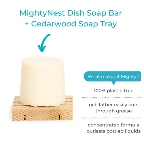 Eco-Friendly Lemon Dish Soap Bundle with Tray
