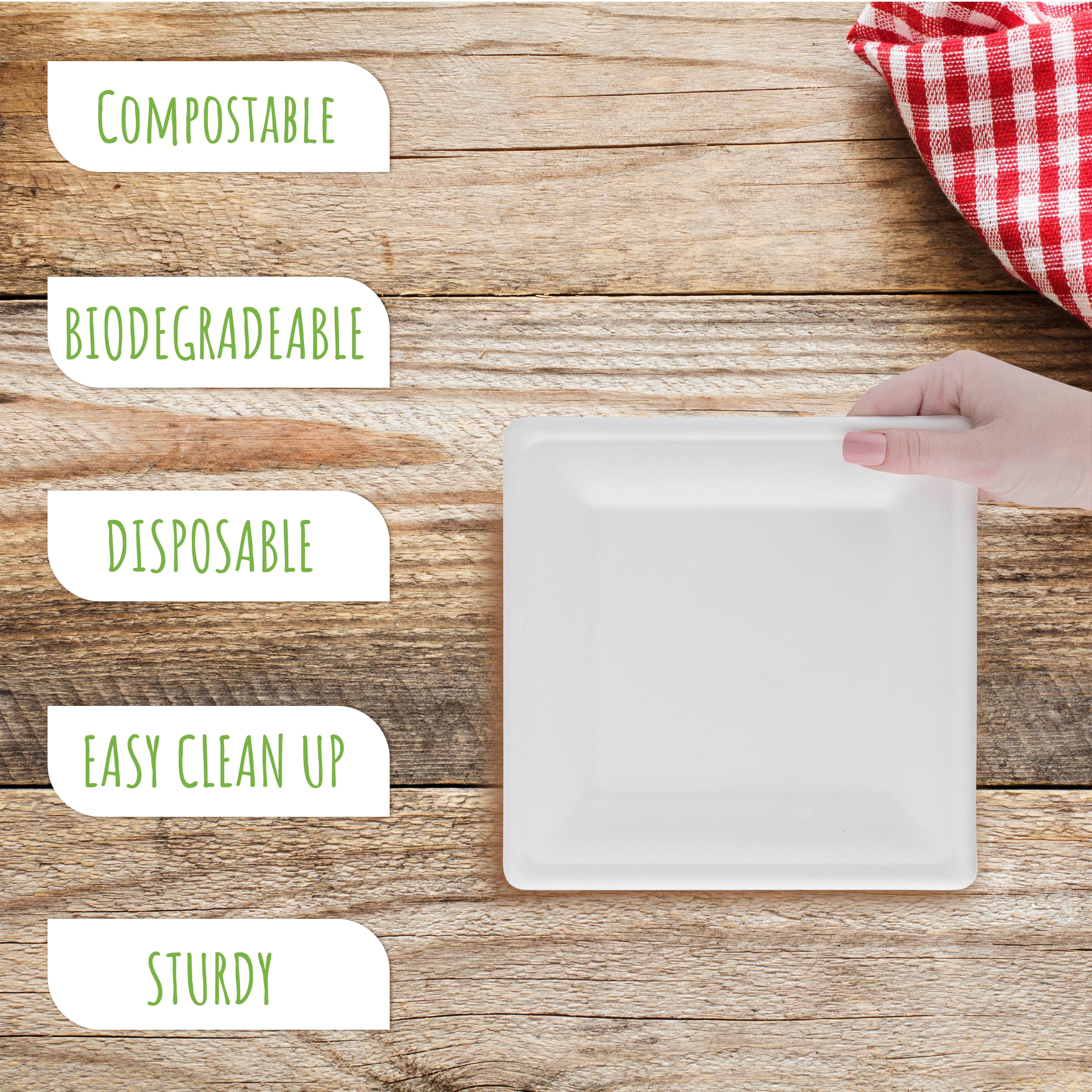 Brheez Biodegradable Square Plates - 8", 60pk
