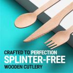 Compostable Wooden Cutlery Set - 300 pieces
