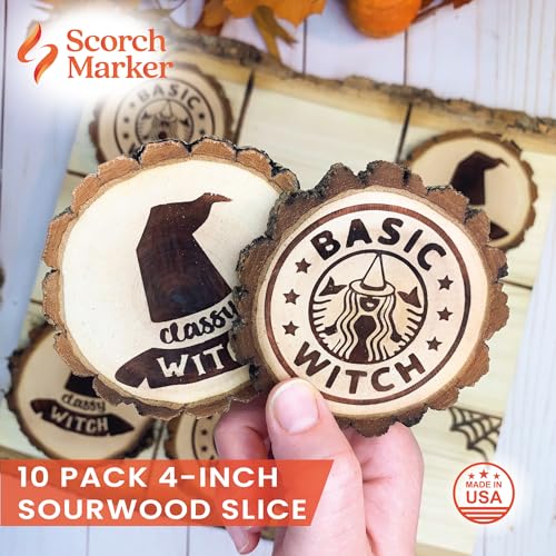 Rustic Round Wood Slices for Crafting (10 Pack)