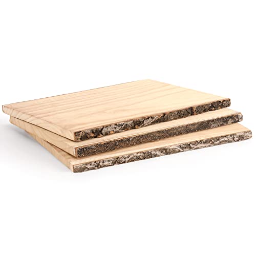 13-Inch Wood Slices with Bark for DIY Projects