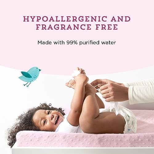 Mama Bear Hypoallergenic Baby Wipes, 72 Count