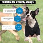 Matching Dog and Owner T-Shirts and Hoodies